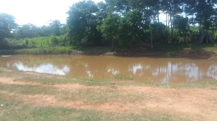 Fazenda em Acorizal 8