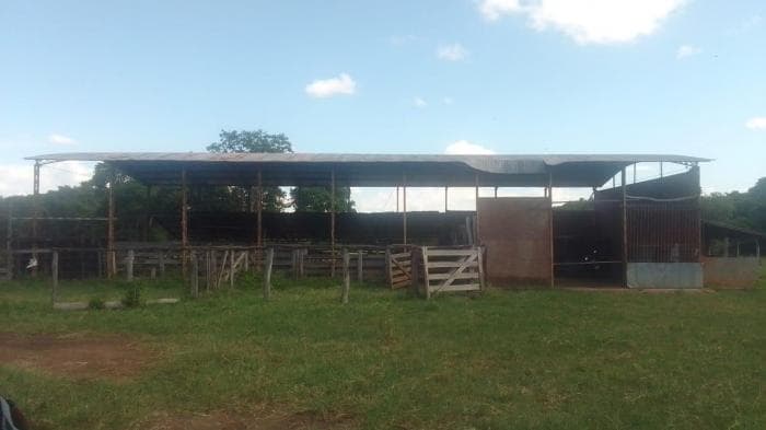 Fazenda em Acorizal 7