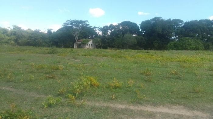 Fazenda em Acorizal 10