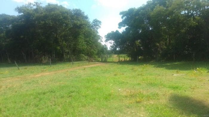 Fazenda em Acorizal 11