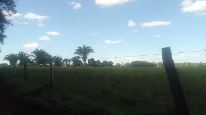 Fazenda em Acorizal 19