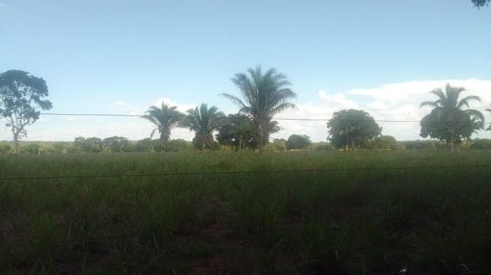 Fazenda em Acorizal 21