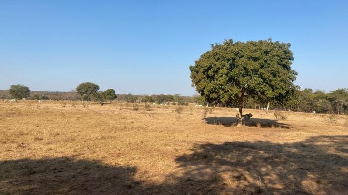 Fazenda em Acorizal 25