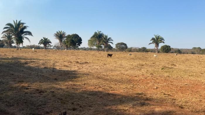 Fazenda em Acorizal 22