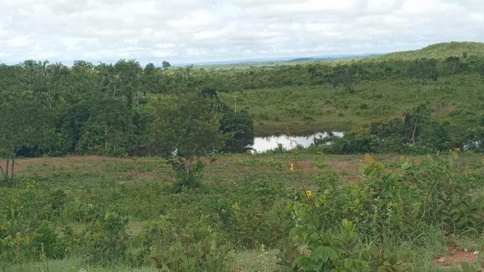 Fazenda a venda em Manso 2