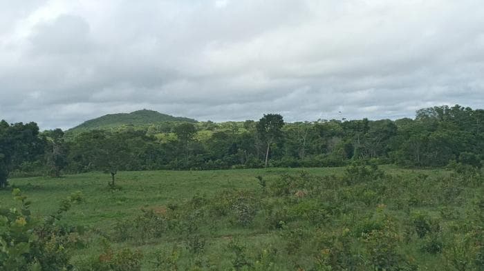 Fazenda a venda em Manso 4