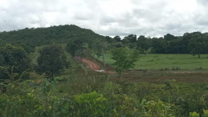 Fazenda a venda em Manso 6