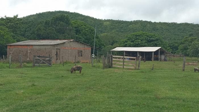 Fazenda a venda em Manso 7