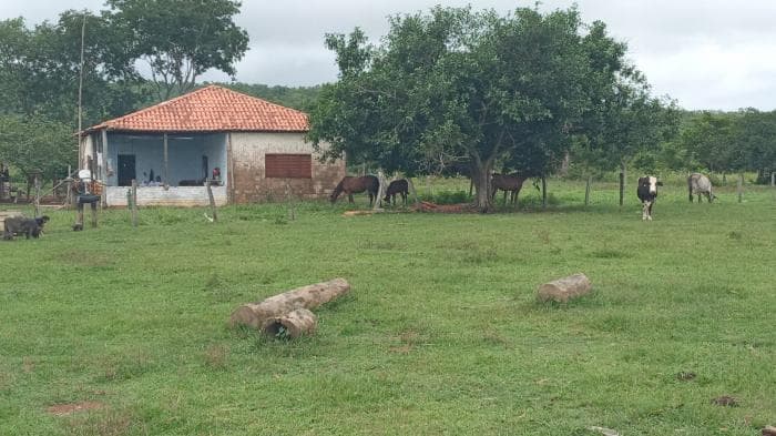 Fazenda a venda em Manso 10