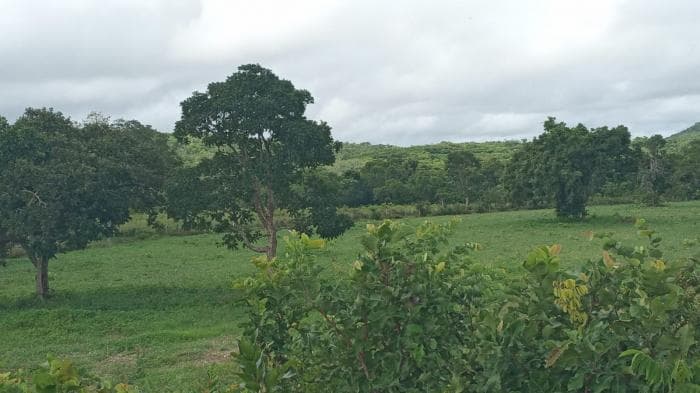 Fazenda a venda em Manso 8