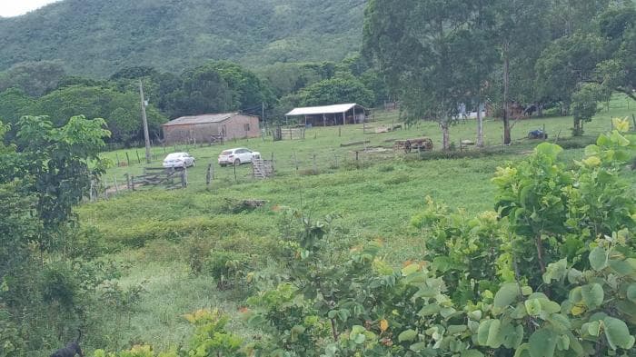Fazenda a venda em Manso 11