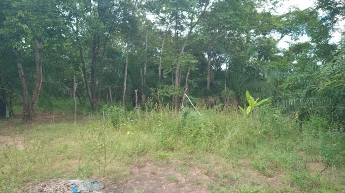 Fazenda a venda em Manso 17
