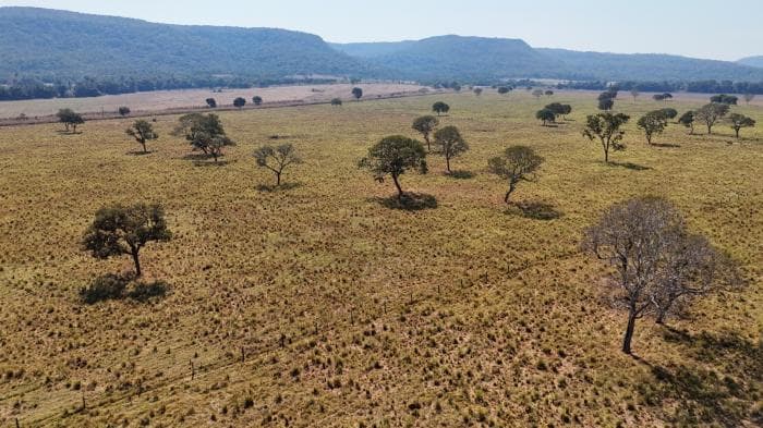Fazenda a venda em nobres 7