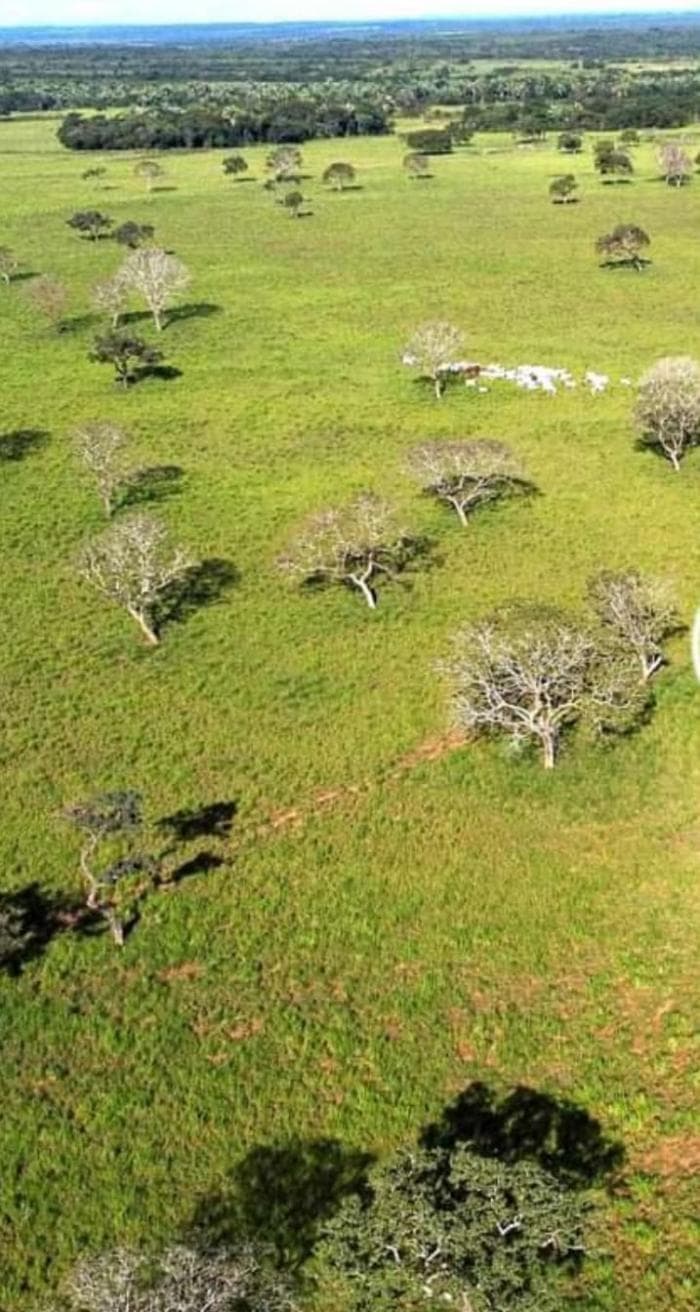 Fazenda a venda em nobres 8