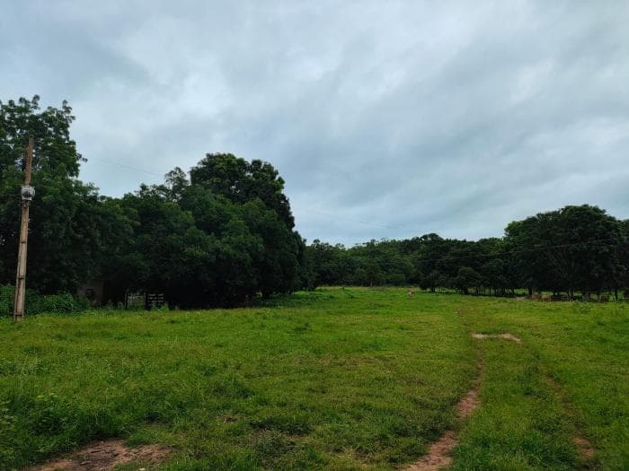 Fazenda a venda em Manso 1