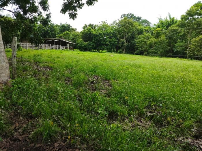 Fazenda a venda em Manso 4