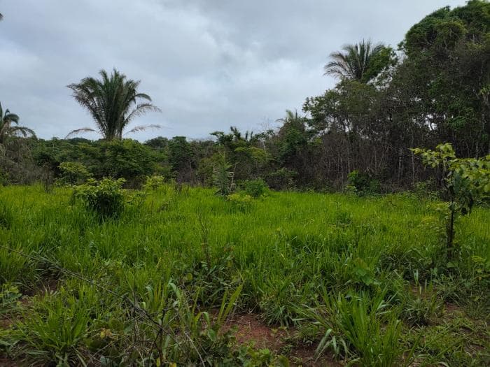 Fazenda a venda em Manso 7