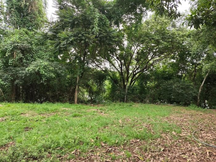Fazenda a venda em Manso 11