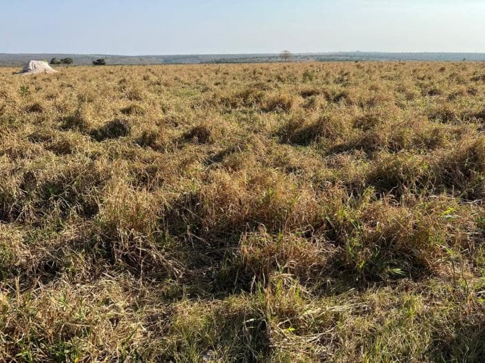 Fazenda a venda em Juscimeira — Jaciara, MT