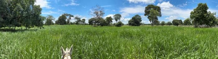Fazenda a venda em Rosário Oeste 2