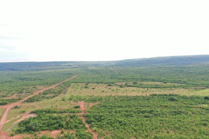 Fazenda a venda em Rosário Oeste 8