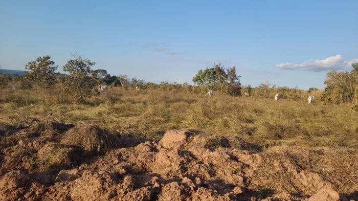 Fazenda a venda em Rosário Oeste 20