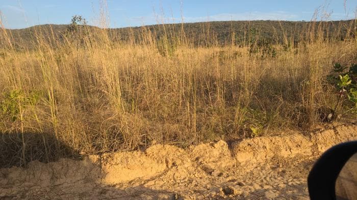 Fazenda a venda em Rosário Oeste 21