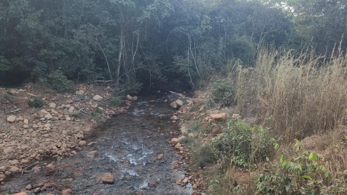 Fazenda a venda em Rosário Oeste 24
