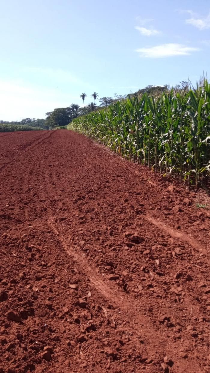 Fazenda a venda em Juscimeira 6