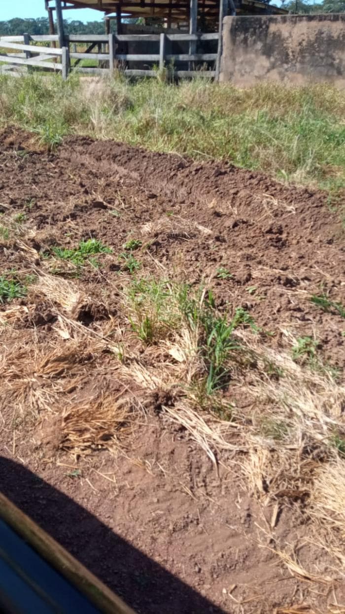 Fazenda a venda em Juscimeira 9