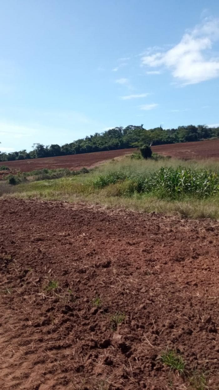 Fazenda a venda em Juscimeira 11