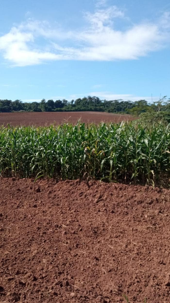 Fazenda a venda em Juscimeira 8