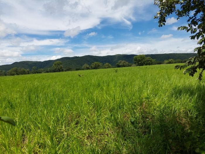 Fazenda a venda em Acorizal 3