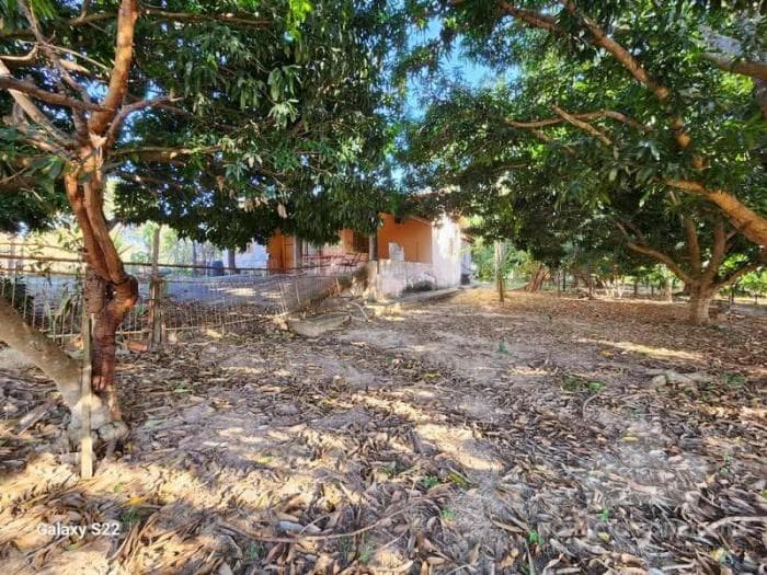 Fazenda a venda em Nossa Senhora do Livramento 2
