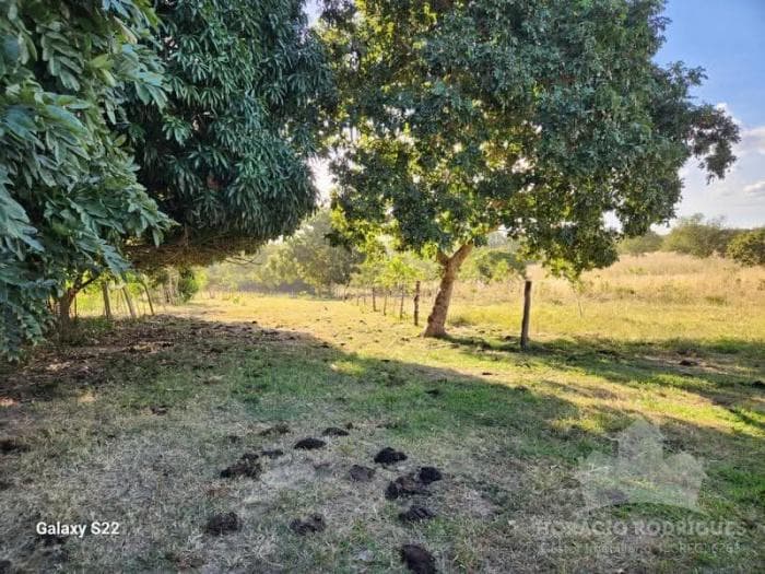 Fazenda a venda em Nossa Senhora do Livramento 3