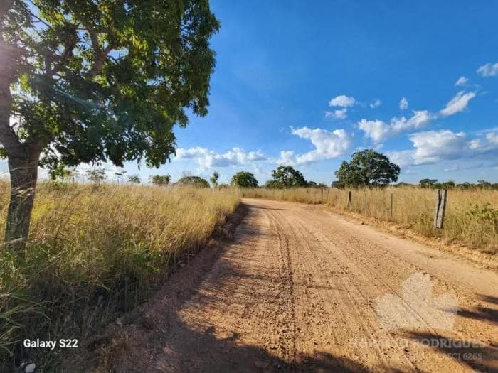 Fazenda a venda em Nossa Senhora do Livramento 11