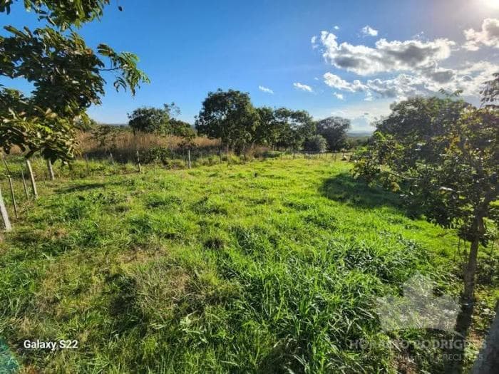 Fazenda a venda em Nossa Senhora do Livramento 20