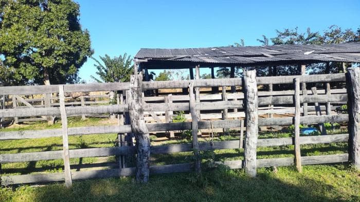 Fazenda a venda em Nossa Senhora do Livramento 18