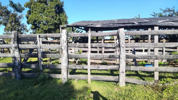 Fazenda a venda em Nossa Senhora do Livramento 22