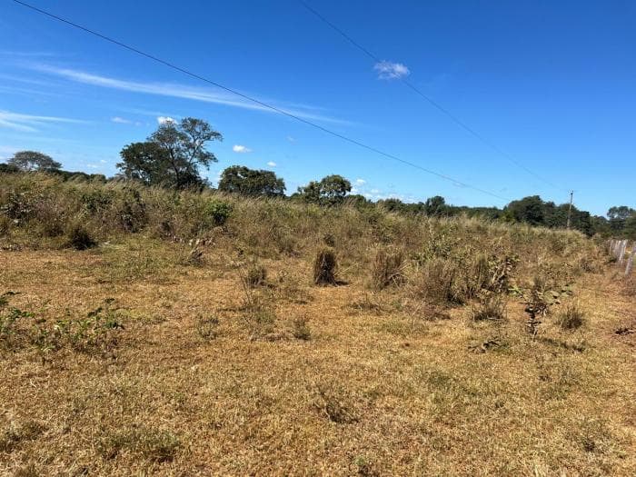 Fazenda em chapada dos Guimaraes 2