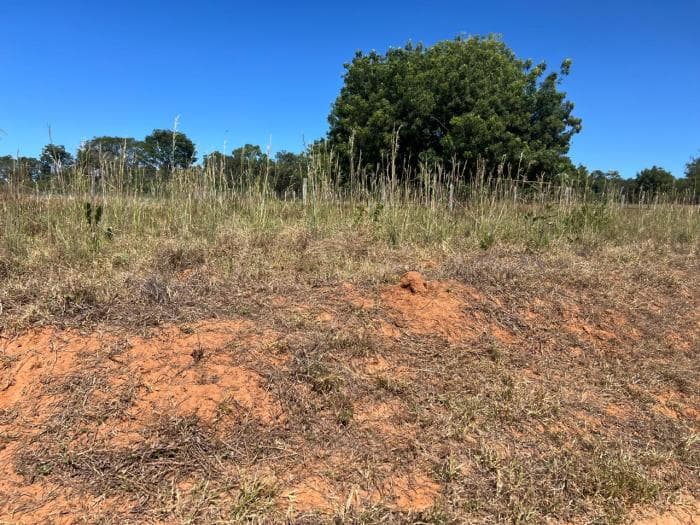 Fazenda em chapada dos Guimaraes 6