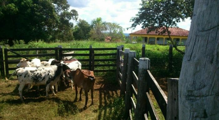 ALTO PARAGUAI 8