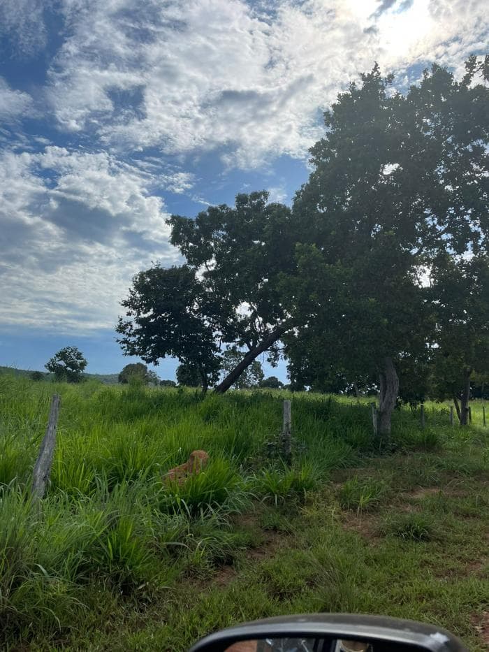 Fazenda em Poconé 3