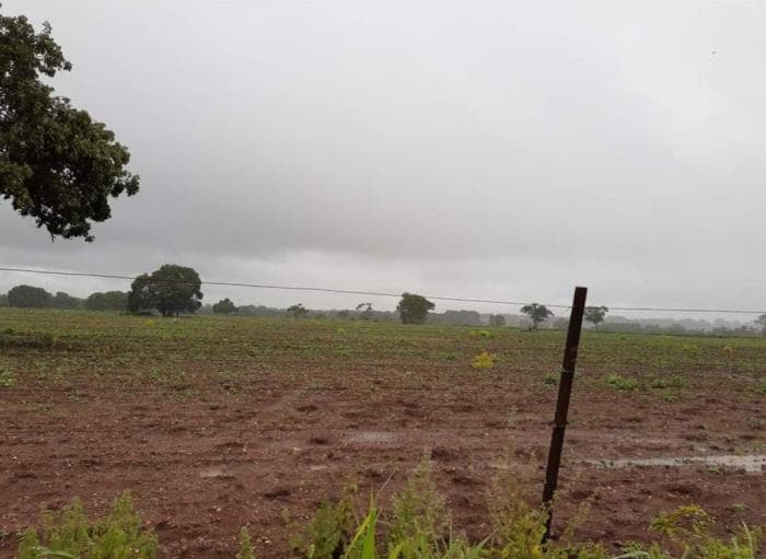 Fazenda em jangada 4