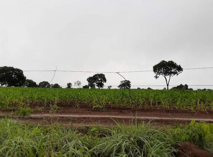 Fazenda em jangada 10