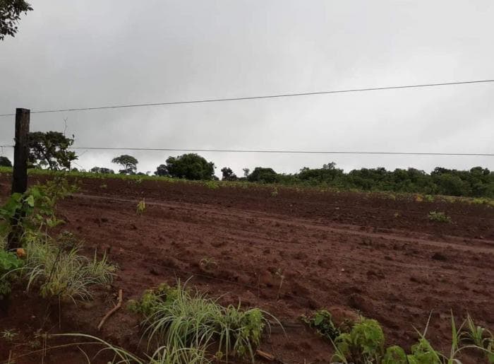 Fazenda em jangada 9