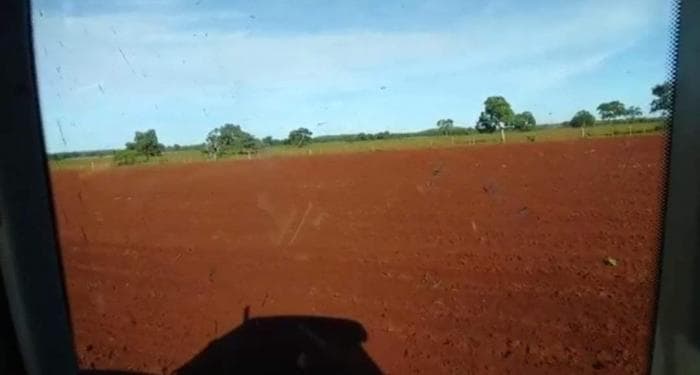 Fazenda em jangada 11