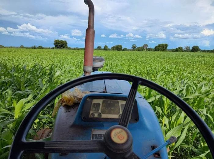 Fazenda em jangada 12