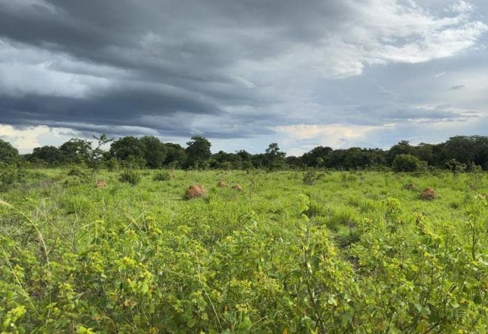 Fazenda em Cuiabá 7