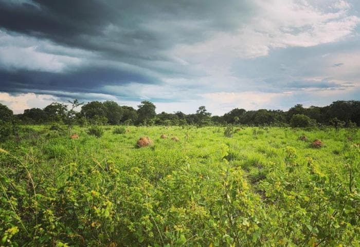 Fazenda em Cuiabá 2